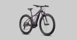 ZR Lady Hybrid 500 -Günstiges Ebike Meister Geschäft 2022 ZR LADY HYBRID CX500 detail06