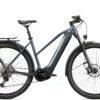 Relate 9.0 Lady 625 -Günstiges Ebike Meister Geschäft 599871