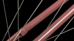 Cube Ella Cruise Hybrid 500 Easy Entry Twinkle´n´cream -Günstiges Ebike Meister Geschäft Cube Ella Cruise Hybrid 500 Easy Entry twinkle n cream 632611 5