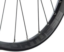 HOPE Fortus 35 Pro 4 Disc 6-Loch 29" Shimano Boost Hinterrad -Günstiges Ebike Meister Geschäft Fortus 35 Pro 4 Disc asMz9kbsc6A7O4