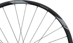 Newmen Evolution SL A.30 29" Boost Hinterrad -Günstiges Ebike Meister Geschäft Newmen Evolution SL A 30 90634 4